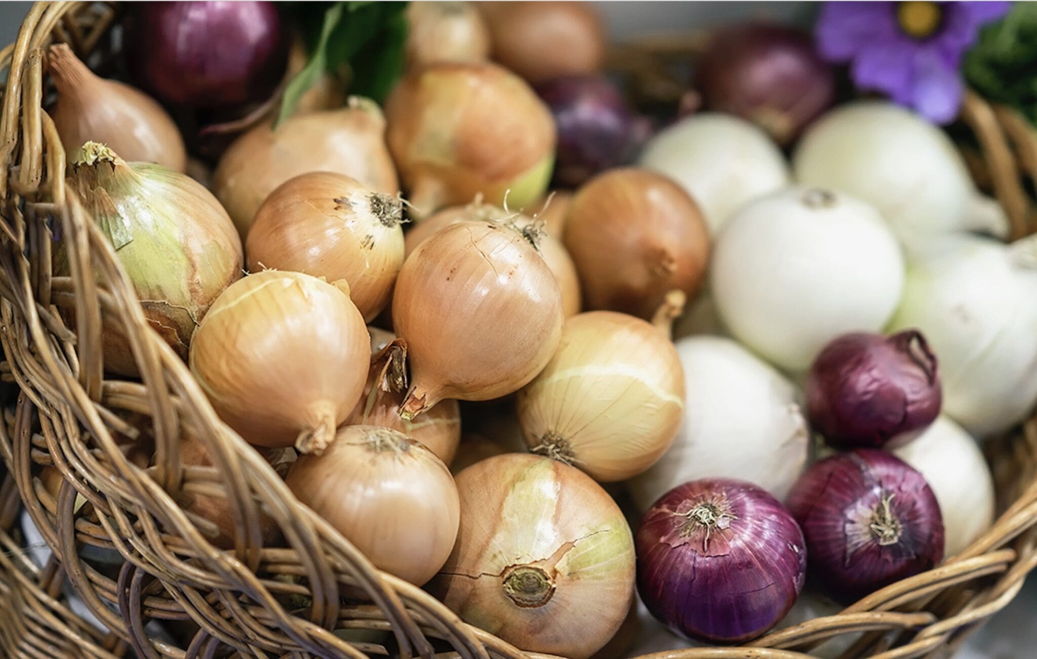 recalls-of-red-yellow-white-and-sweet-yellow-onions-rinewstoday