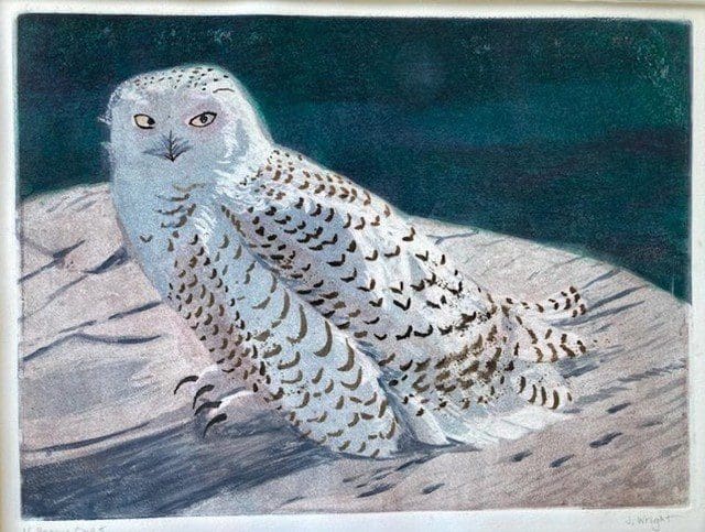 A snowy owl is sitting on a rock.