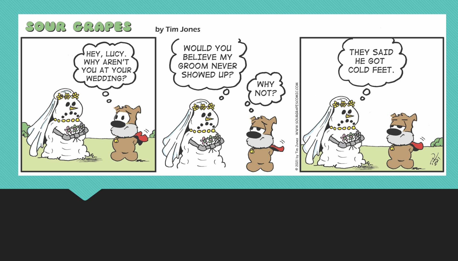 A comic strip about a bride and a teddy bear.