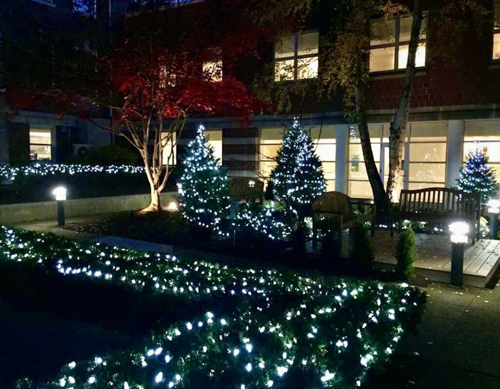 Christmas lights in the courtyard of a building.