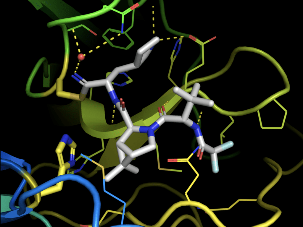 A 3d model of a protein molecule.