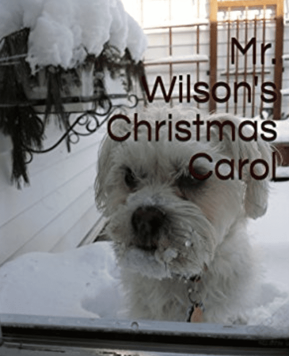 Mr wilson's christmas carol.