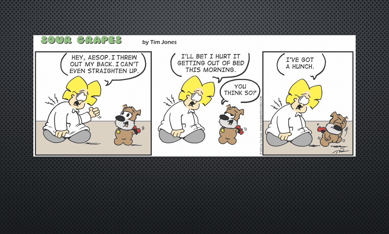 A comic strip with a woman talking to a dog.