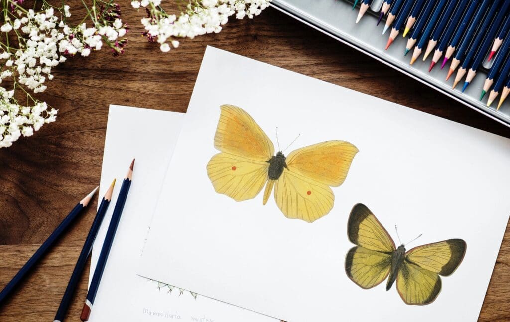 A set of colored pencils next to a drawing of a yellow butterfly.