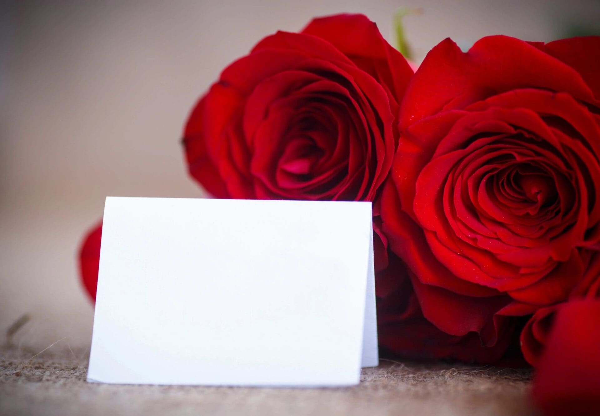Red roses with a blank card next to them.