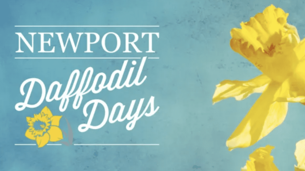 Newport daffodil days.