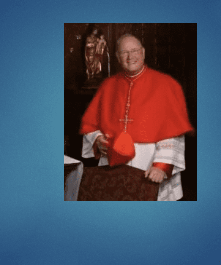 A priest in a red robe is posing in front of a blue background.