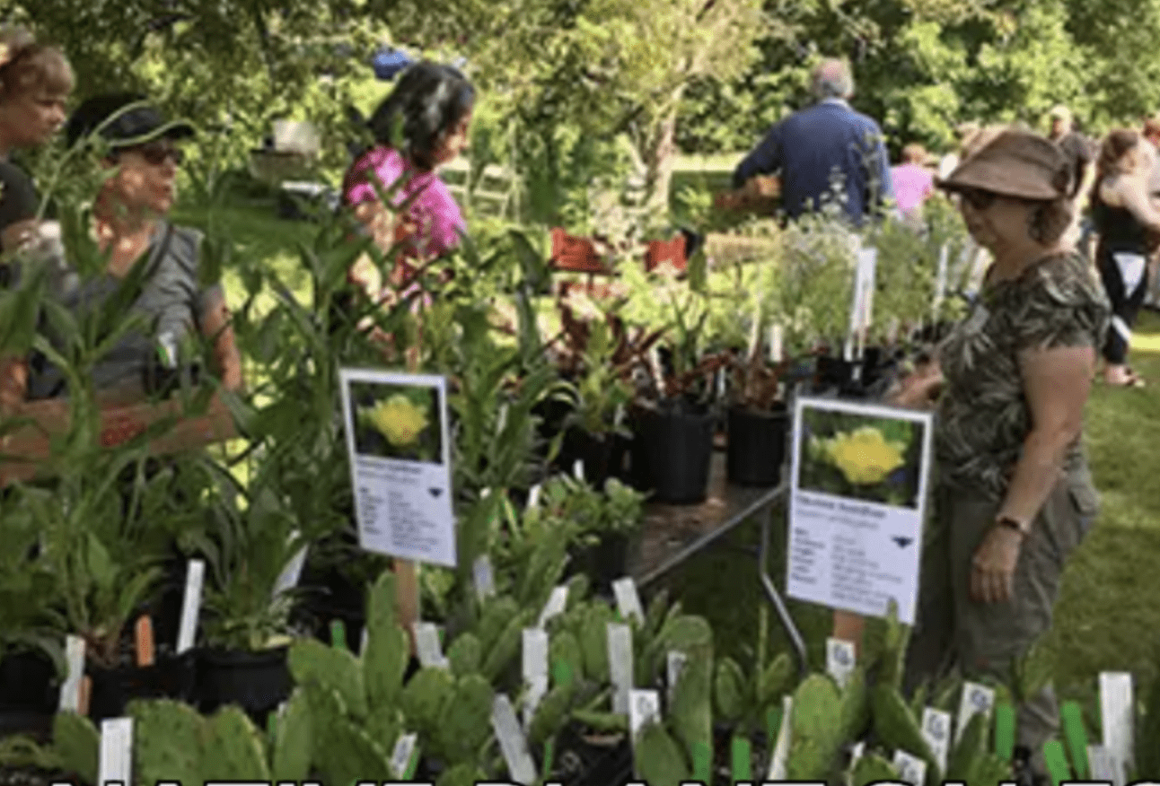 A group of people looking at plants in a garden.