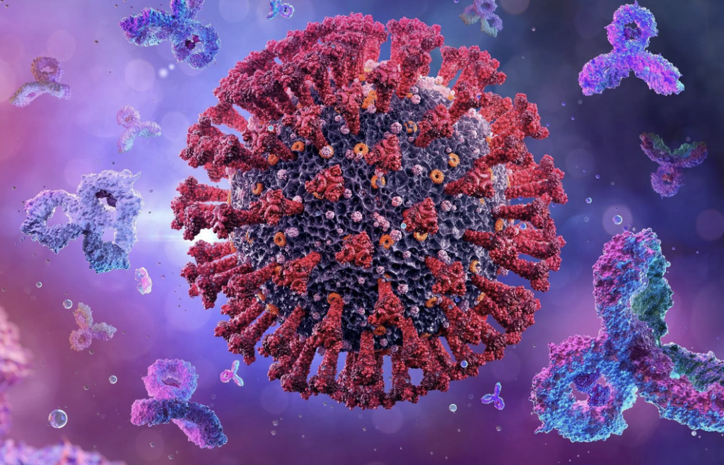 An image of a coronavirus surrounded by other cells.