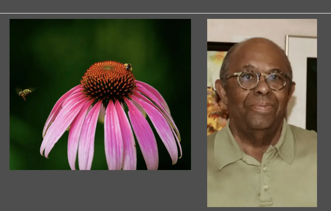An image of a man with glasses and a flower.