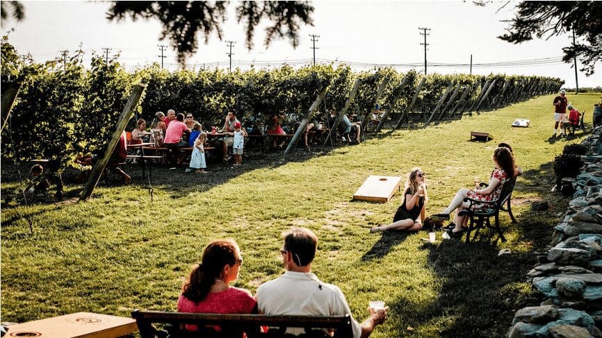 A group of people sitting on benches in a vineyard.