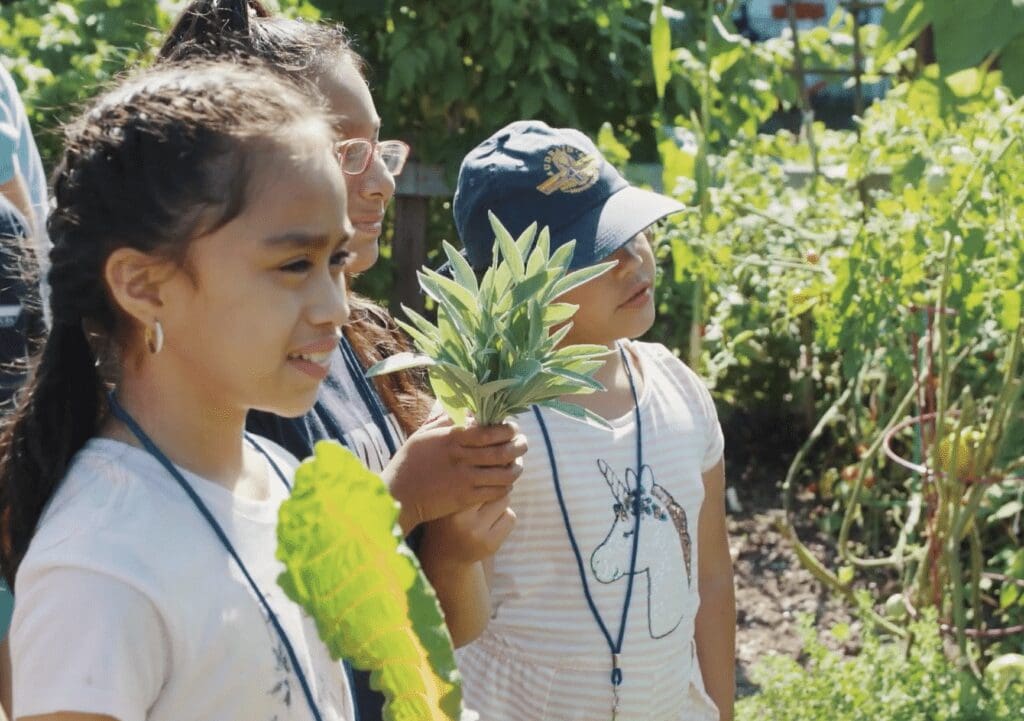 A group of children are looking at plants in the MLK Community Center garden.