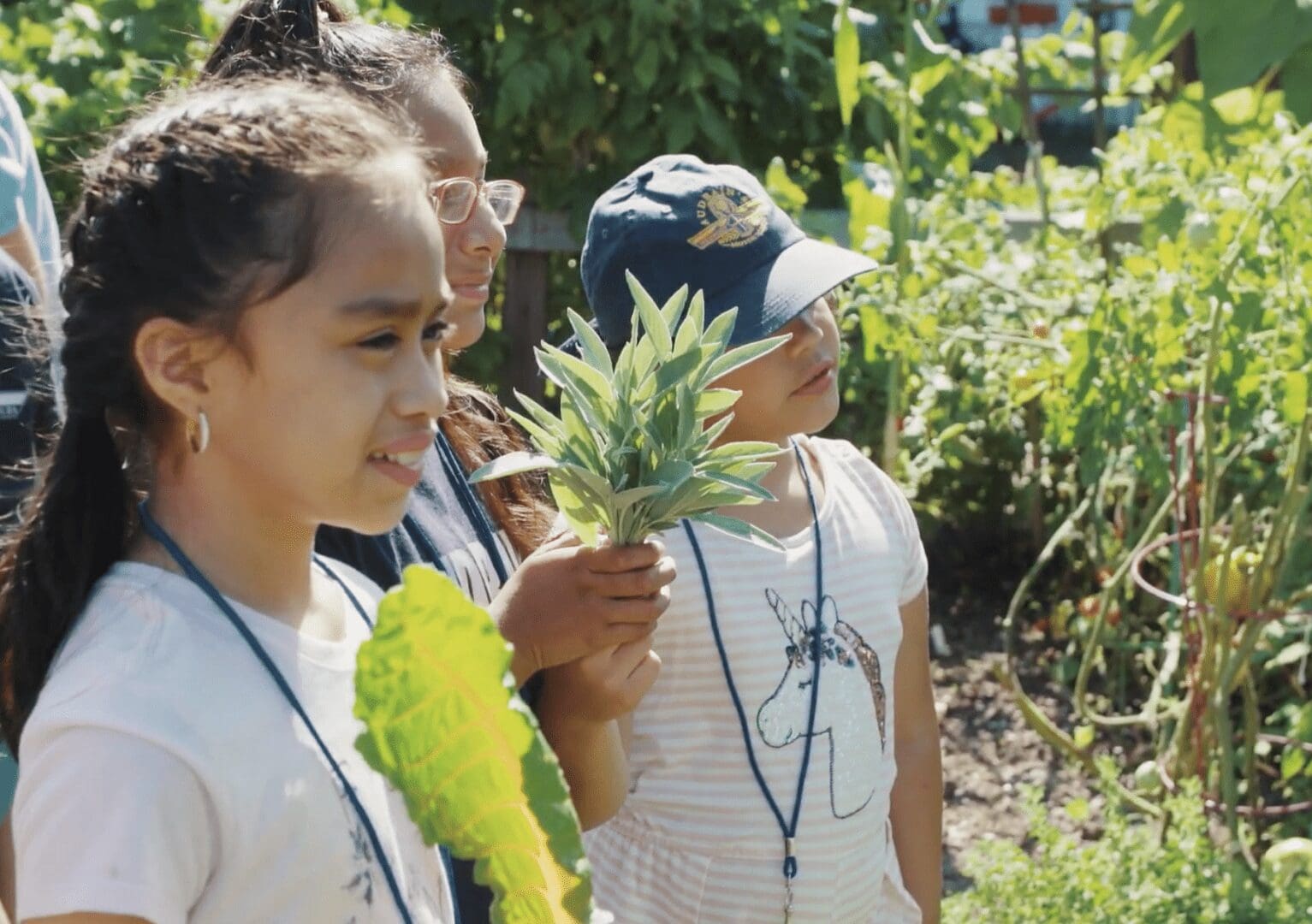 A group of children are looking at plants in the MLK Community Center garden.