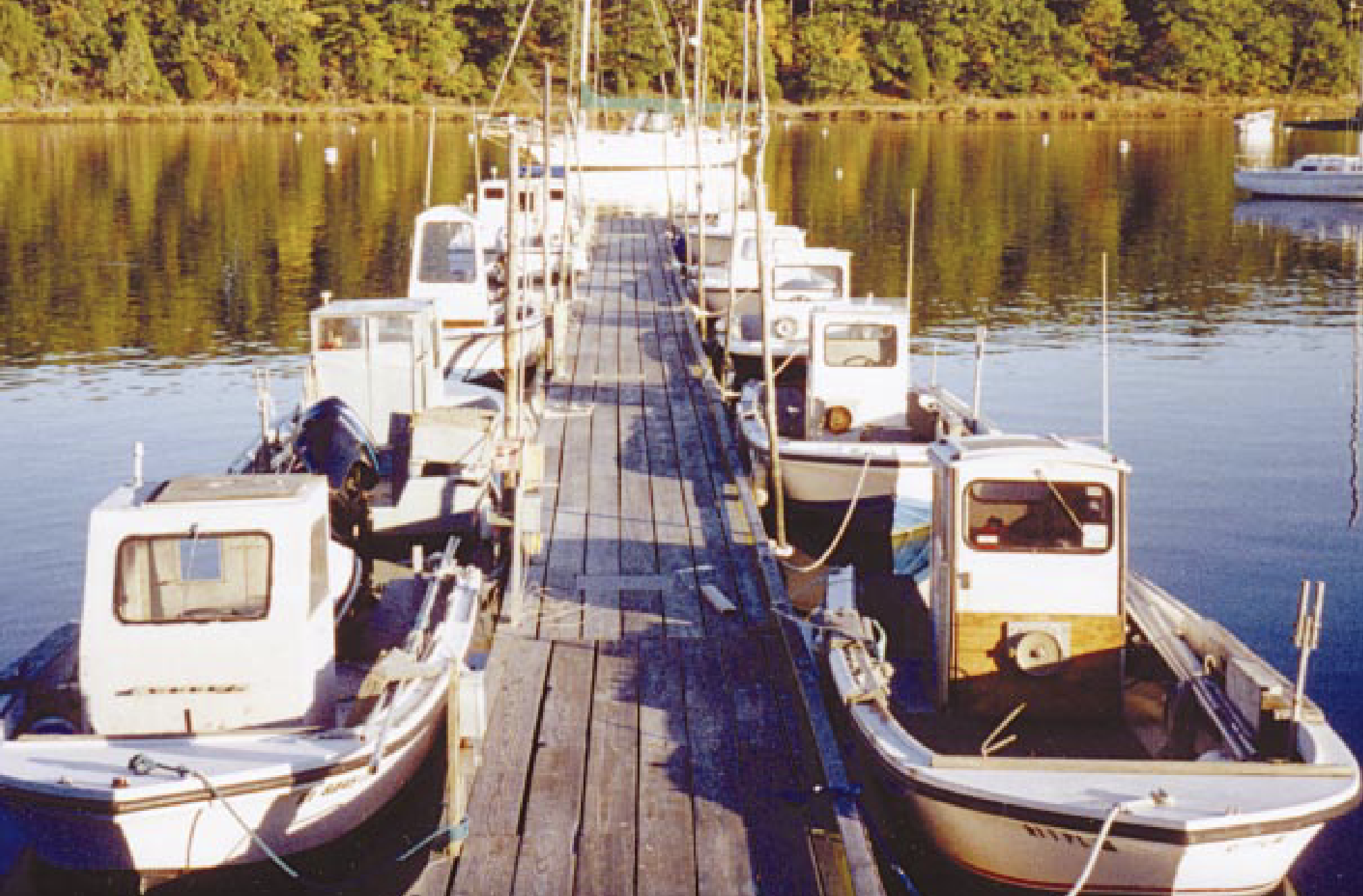 A group of boats docked at a dock.