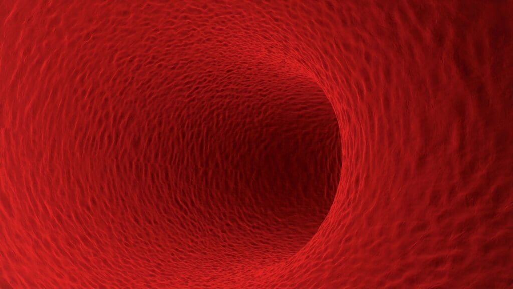 A close up of a red blood cell.