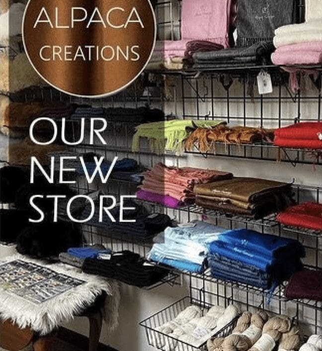 Alpaca creations new store.