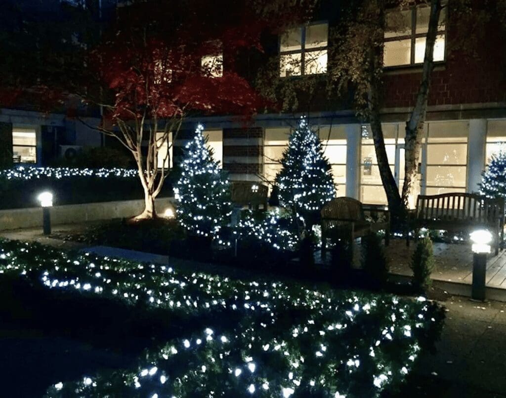 Christmas lights in the garden of a building.