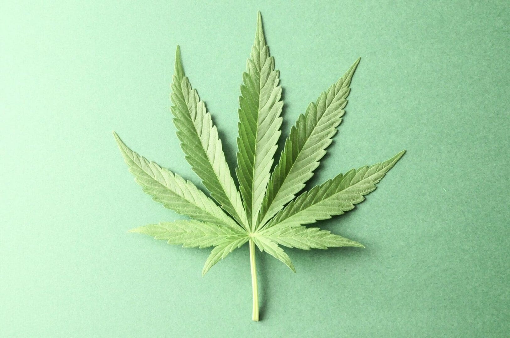 A marijuana leaf on a green background.