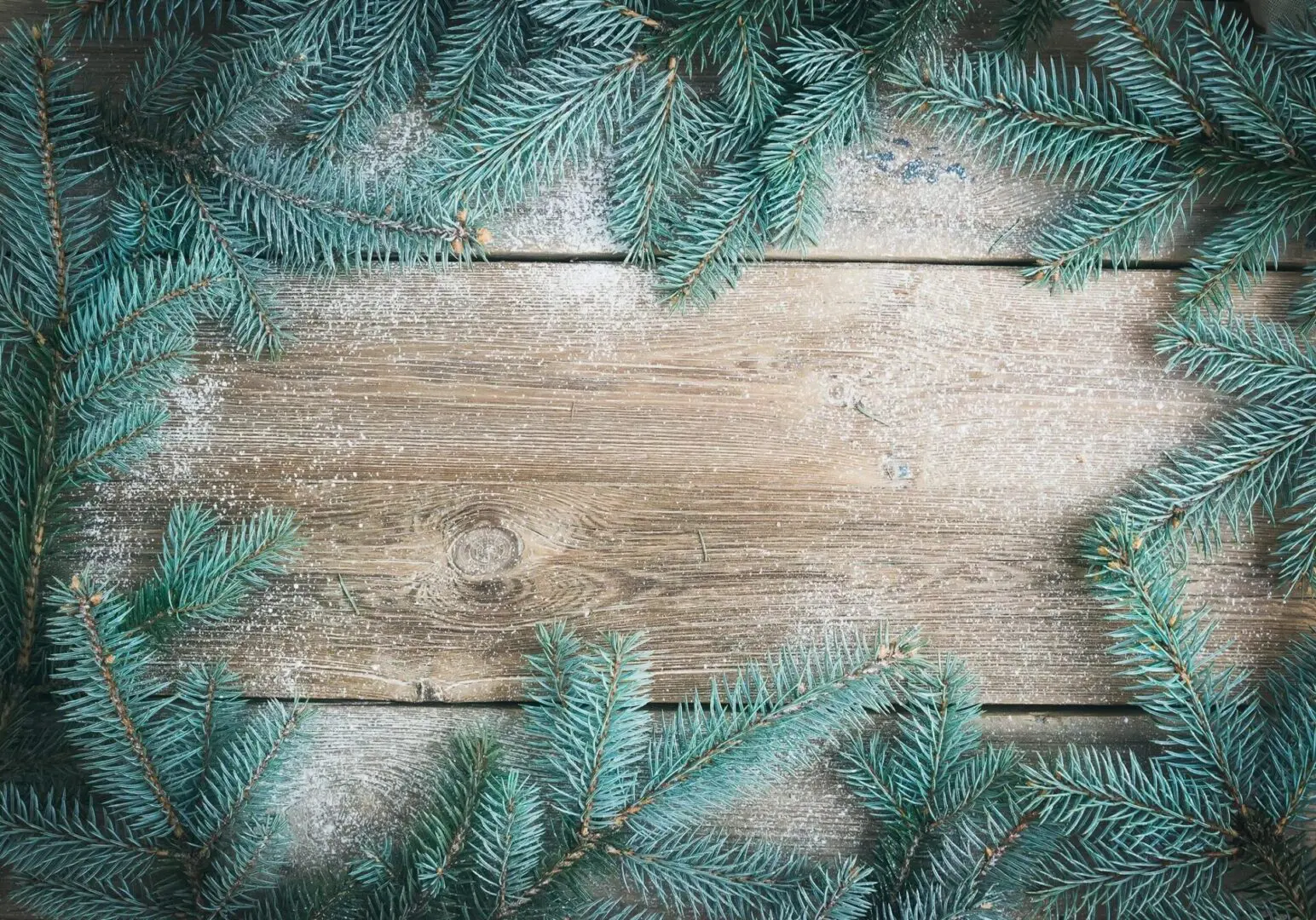Blue fir branches on a wooden background.