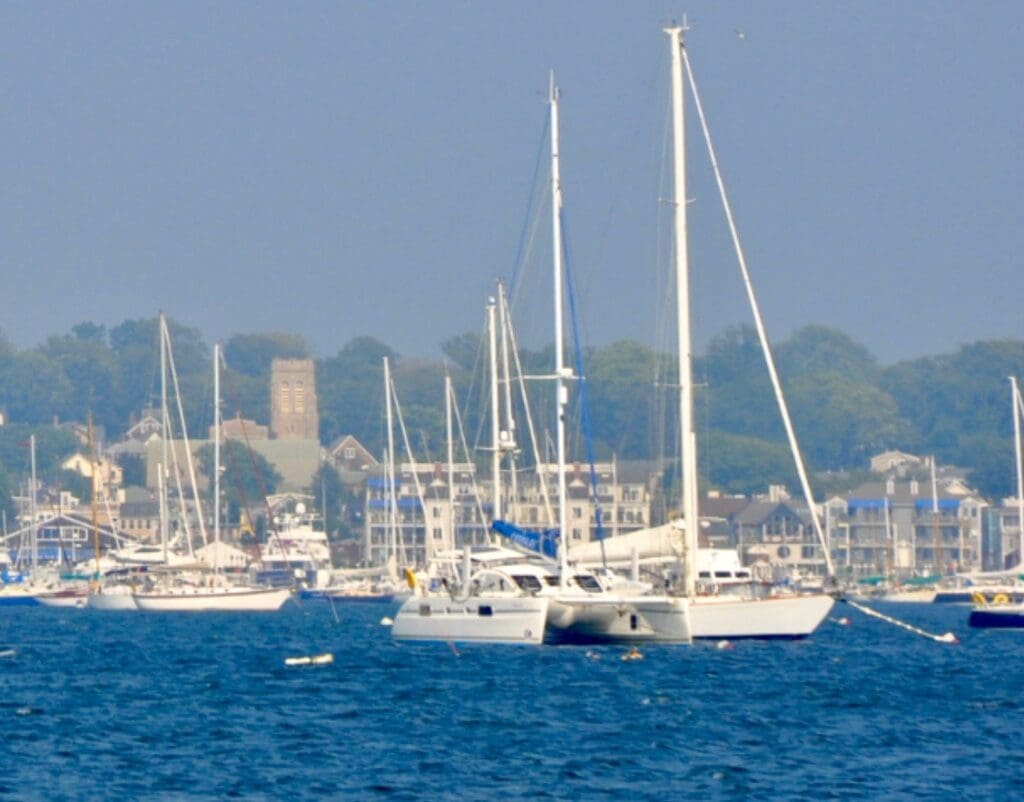 A group of sailboats with women in business on board sailing in the water.