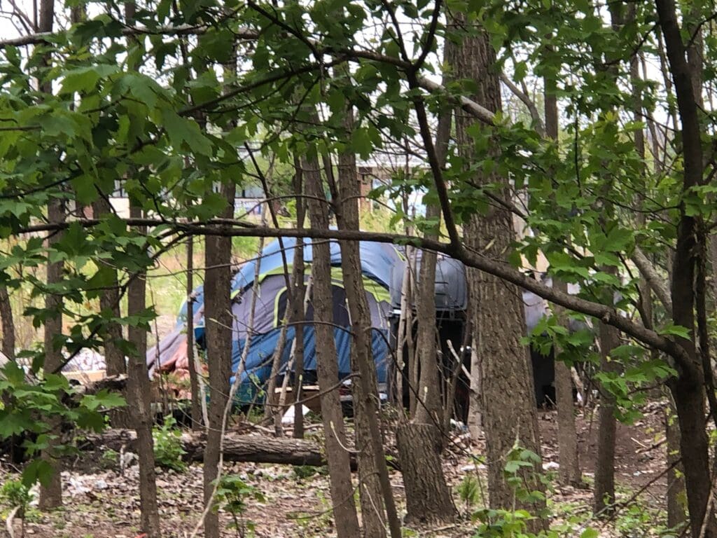 A tent in the woods next to trees.