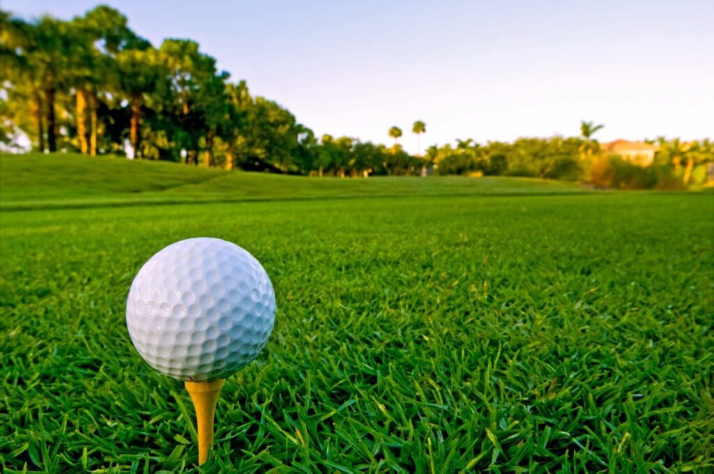 A golf ball sits on a tee in the grass.