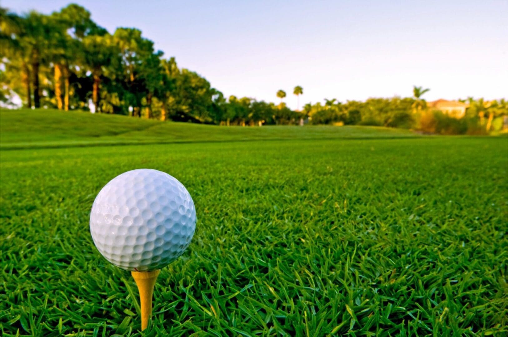 A golf ball sits on a tee in the grass.