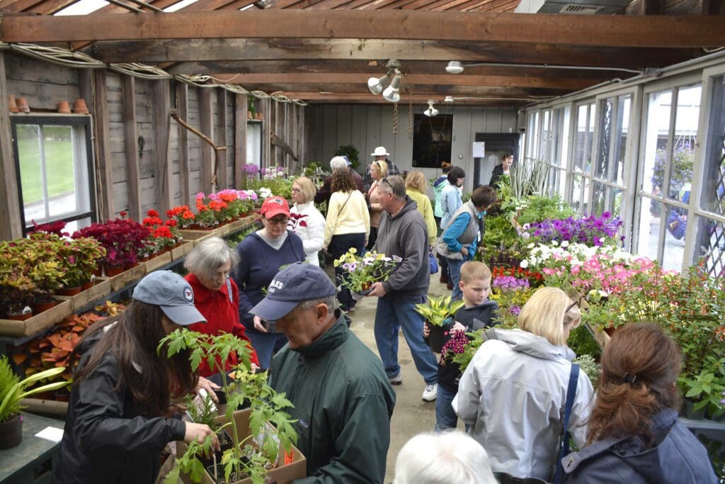 A group of people in Rhode Island looking at plants in a greenhouse.