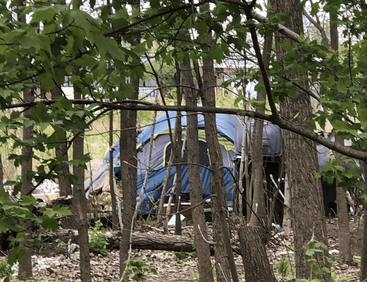 A tent sits in the woods next to trees.