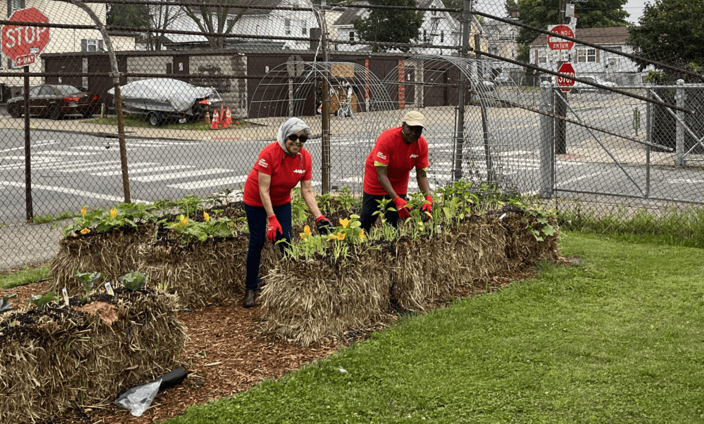 Two people in red shirts working on a garden bed.