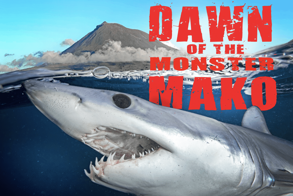 "Shark Week's Dawn of the Monster Mako - Screenshot Thumbnail.
