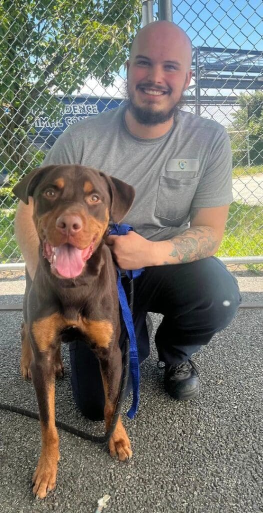 A man crouching down next to a rottweiler dog.