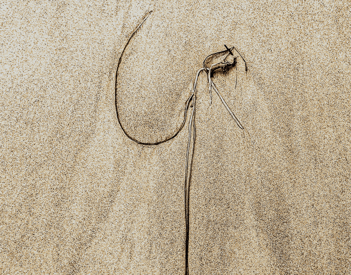 An artistic sand dune showcasing a vibrant surfboard.