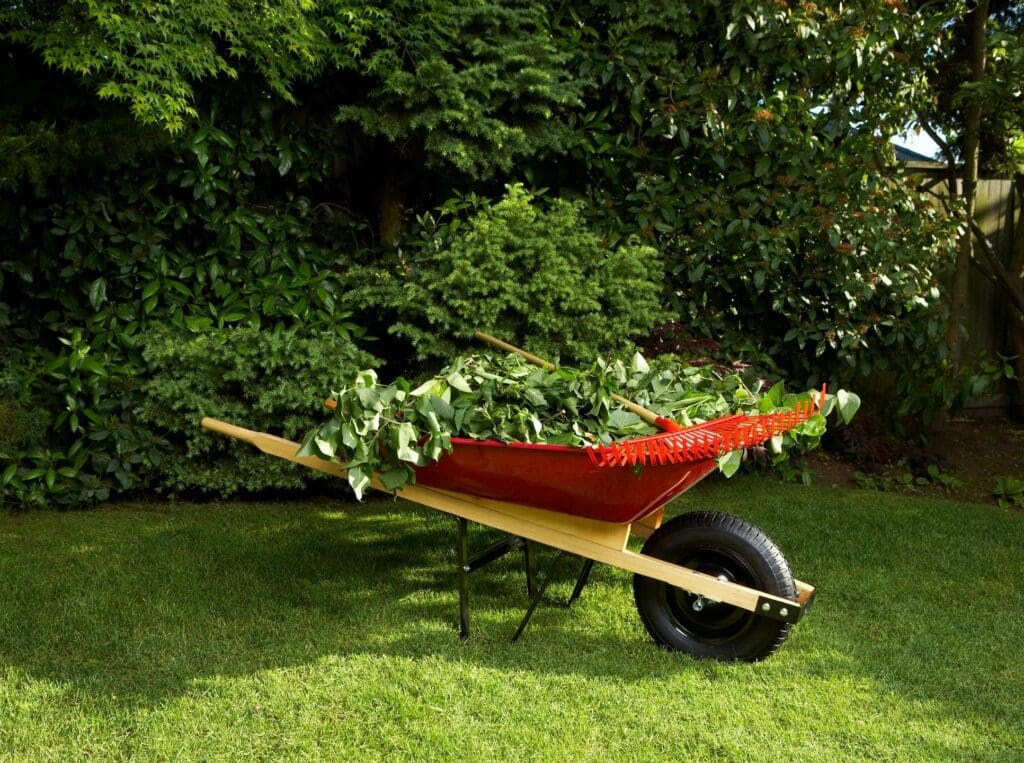 A red wheelbarrow filled with greenery in a garden.