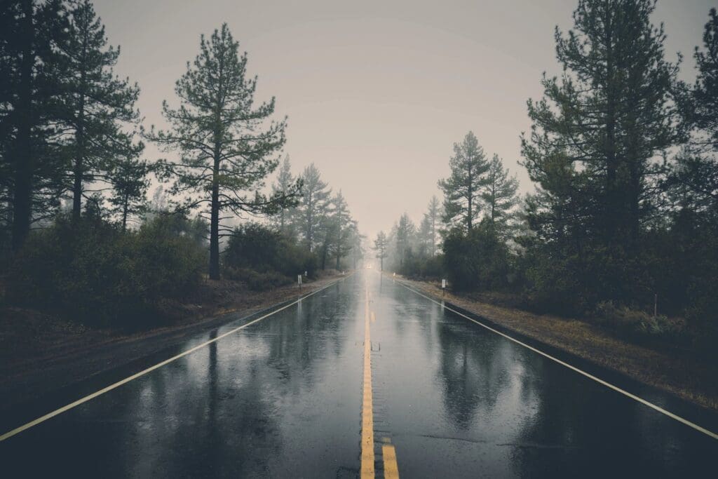 A wet road with trees in the background.