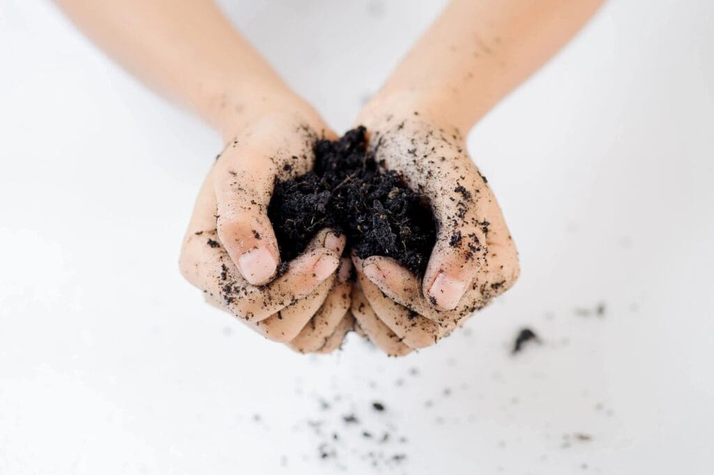 A woman's hands holding dirt on a white background.