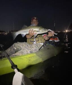 A man in a kayak holding a striped bass.