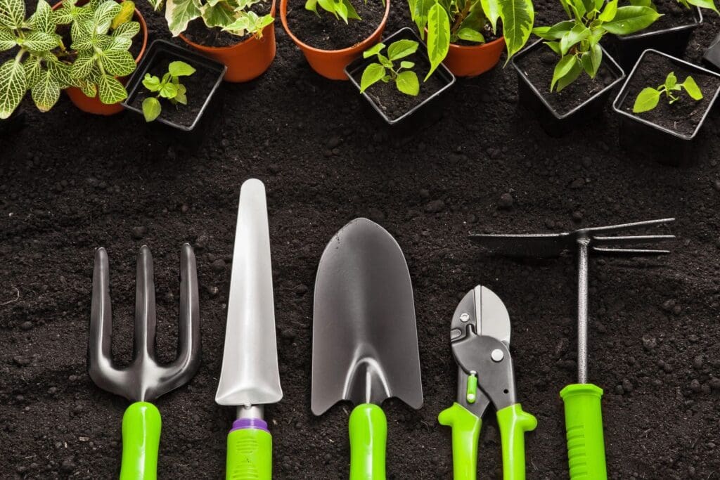 Gardening tools on the ground with plants.