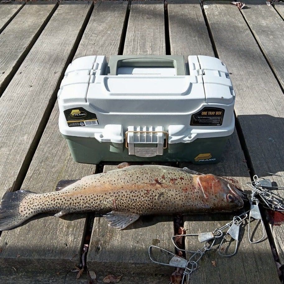A trout is sitting on a wooden deck next to a fishing tackle box, enjoying the peacefulness of fishing.