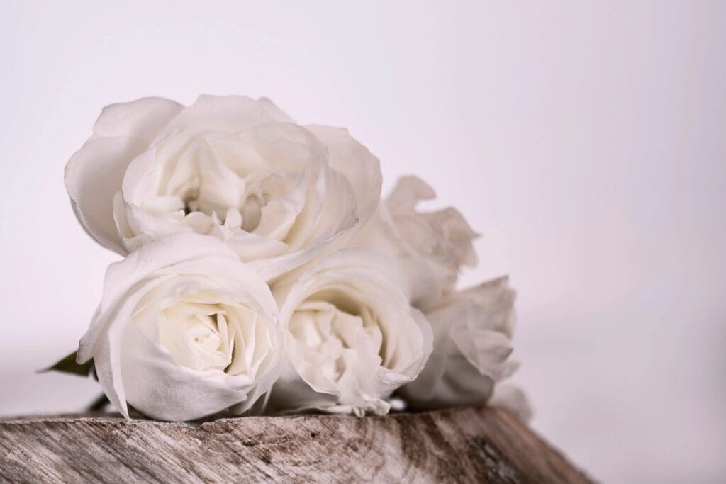 White roses on a piece of wood.