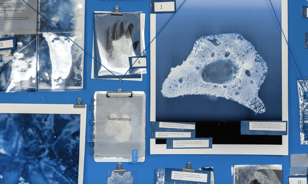 Cyanotype prints and instructions.