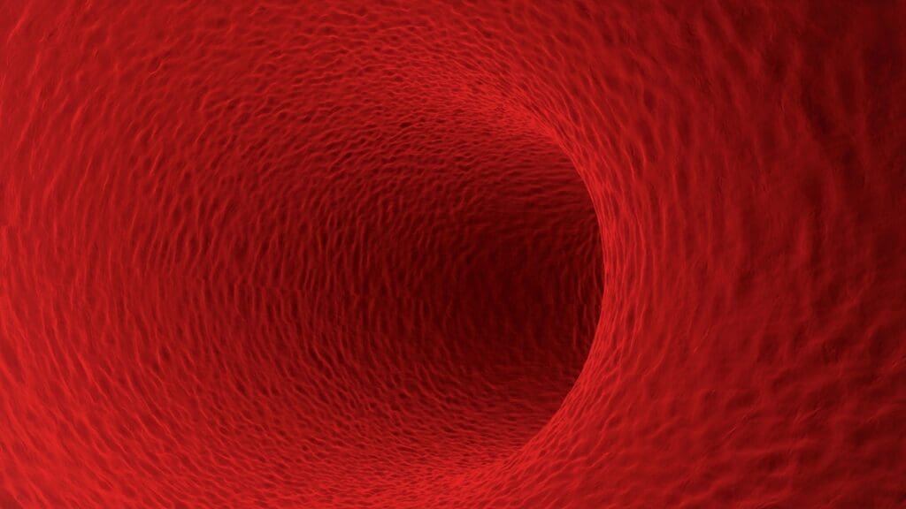 Here's an alt tag for the image: Red blood vessel interior.