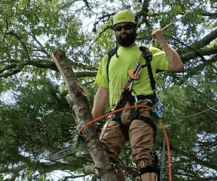 Business Beat: Brad's Tree Service, the rock 'n' roll arborist ...