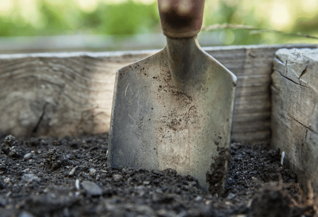 Garden trowel in soil-filled wooden box.