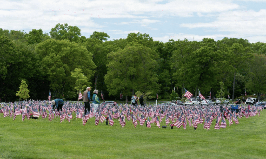 A field full of american flags with trees in the background