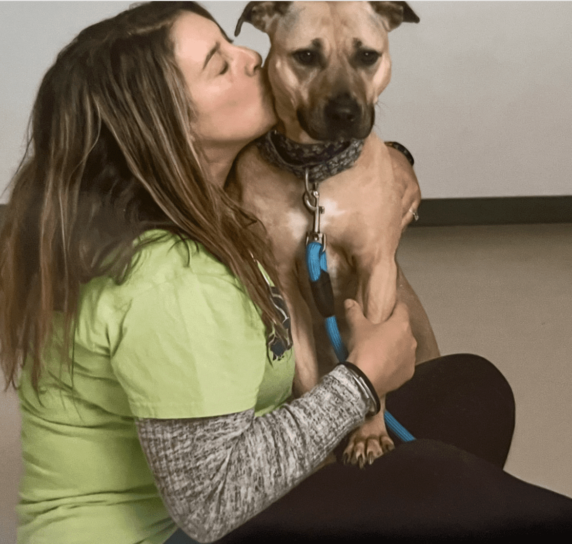 Cheryl Tudino, RISPCA