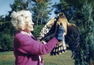 An elderly woman holding a large bird of prey outdoors.
