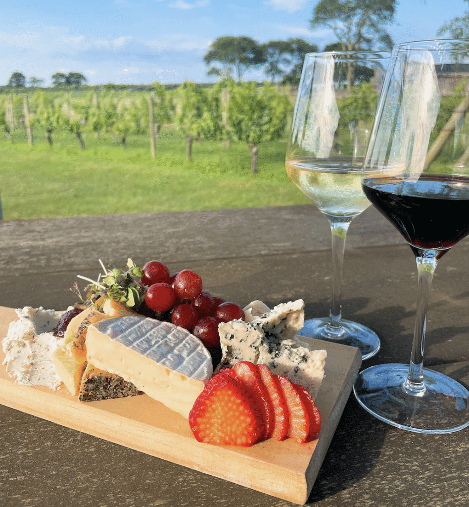 Sakonnet Vineyards on October 8, 2025, RINewsToday