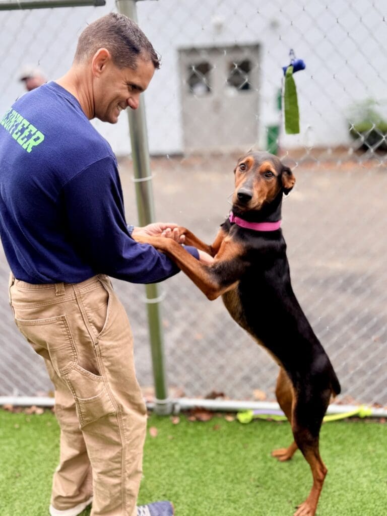 Man playing with a happy dog standing on its hind legs.