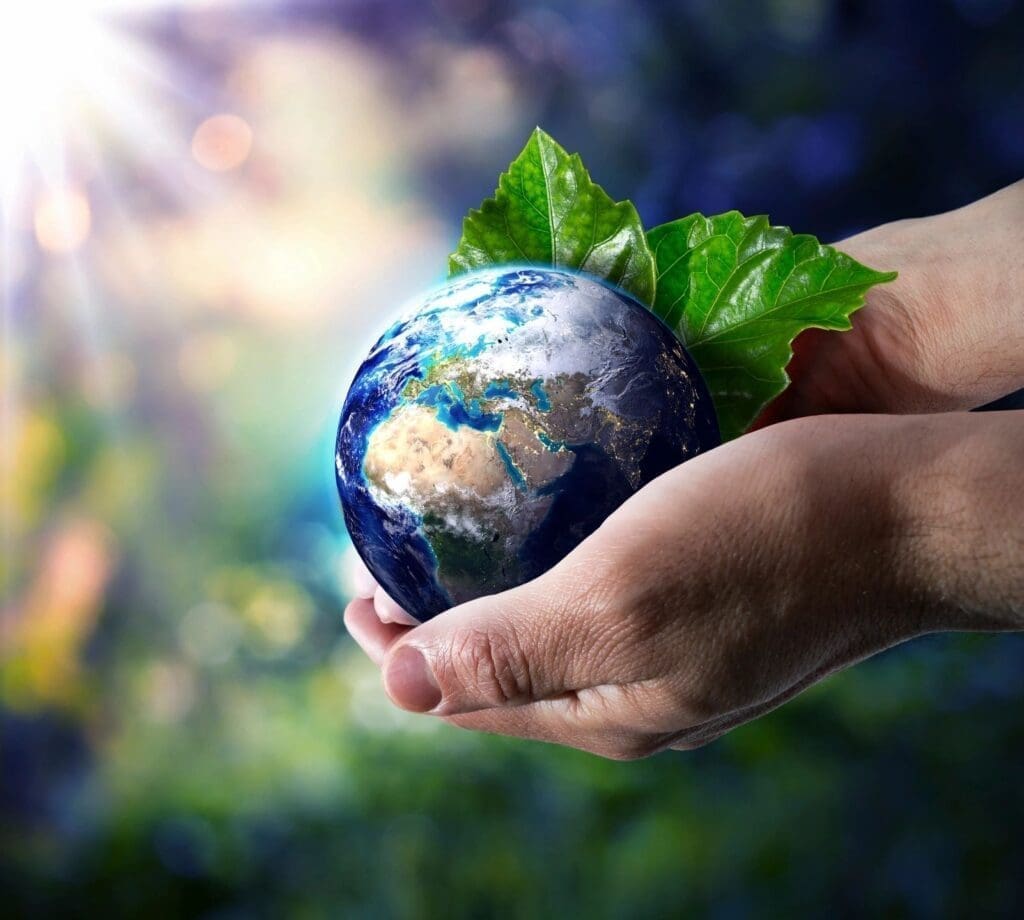 Hands holding a small Earth with green leaves symbolizing care for the planet.